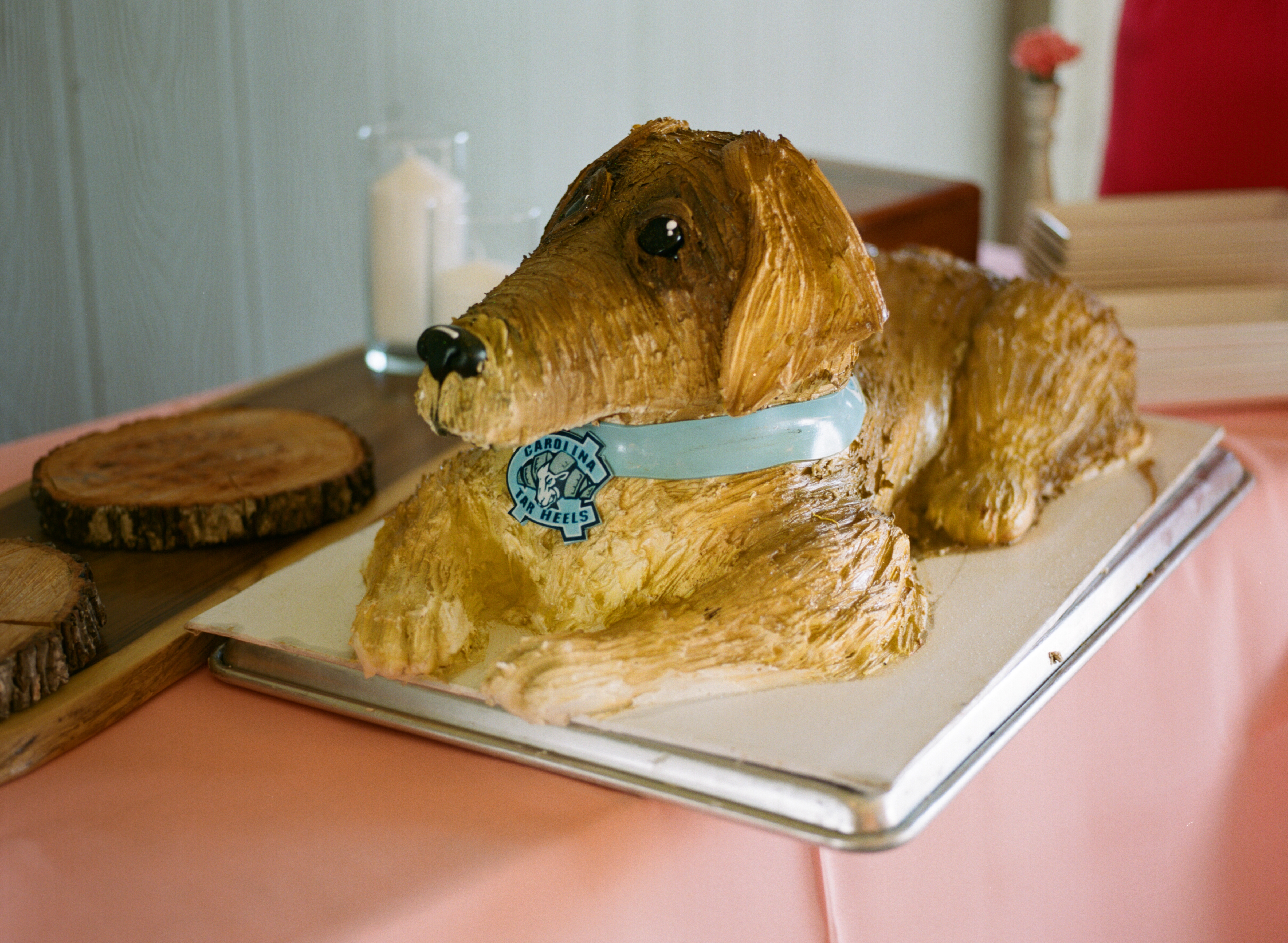 southern wedding traditions dog cake photo